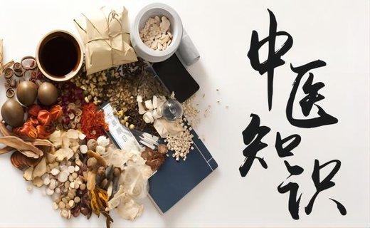 中医基础知识分享